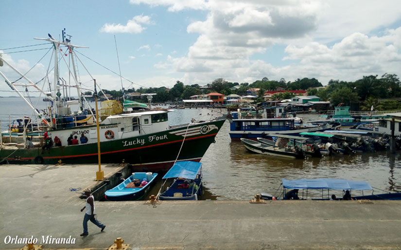 bluefields